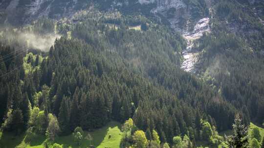 瑞士阿尔卑斯山风暴焚风中树木花粉森林的时间推移