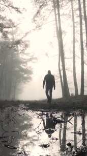 特写日出时分在浓雾的森林中行走的男人