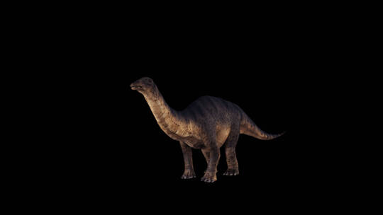 恐龙史前巨兽视频素材模板下载