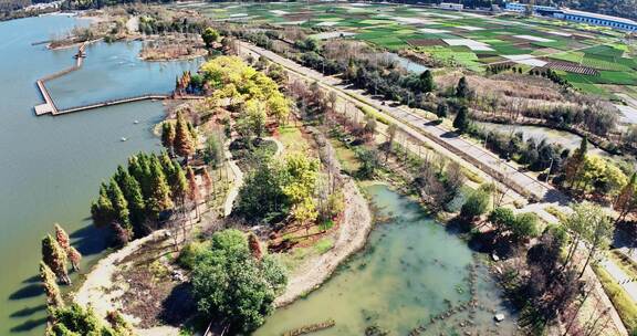 玉溪江川区星云湖国家湿地公园航拍0976