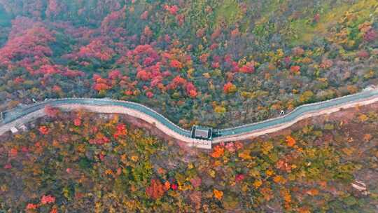 航拍万里长城秋天风景