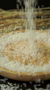 大米 水稻 粮食农作物