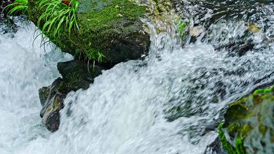 水青苔山泉水流水滴水风景森林自然大自然水