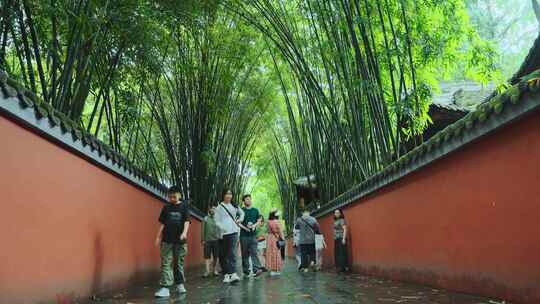 成都街景雨天杜甫草堂红墙绿竹