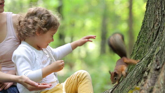 女孩在森林喂红松鼠