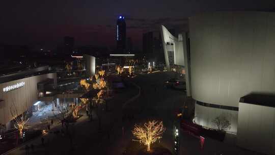 夜晚城市地标建筑及周边夜景