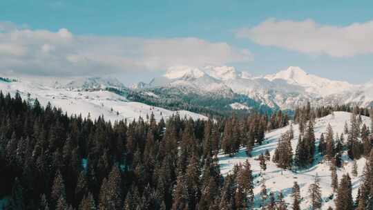 雪山空中森林