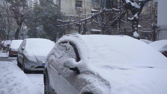 南方城市雪景下雪