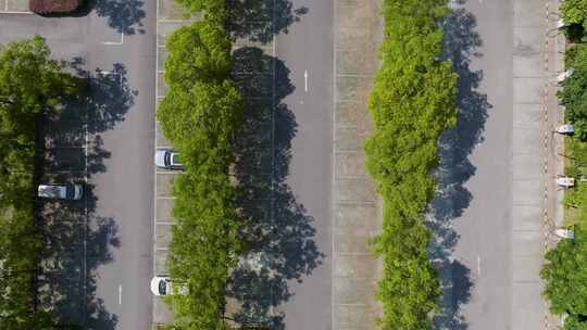 夏天树影道路停车场空镜