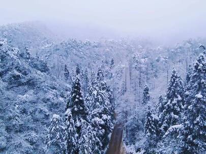 人间仙境，我试图追赶过你,山鸟与鱼不同路