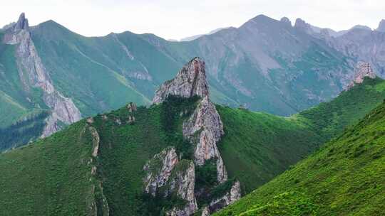 生机勃勃的山谷