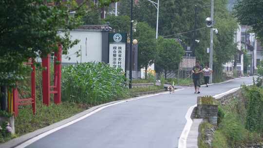 乡村 自然 溪流 村庄 航拍 蜂巢 森林