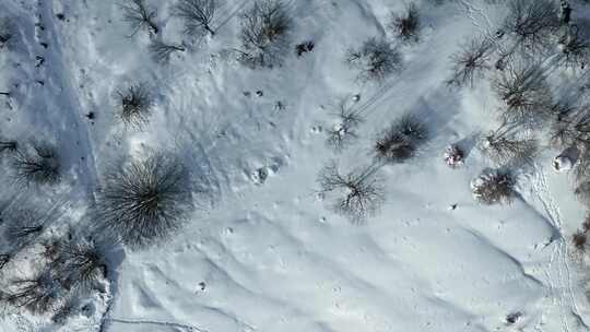 Topshot，雪，无人机，意大利