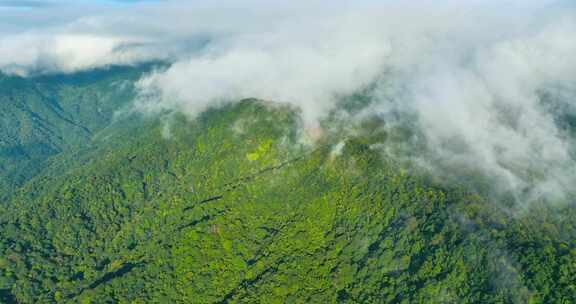 5K航拍广东南岭山脉大山高山山峰山脊岭南