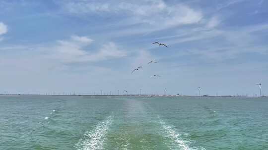 客船出海 海鸥飞翔 海上风力发电