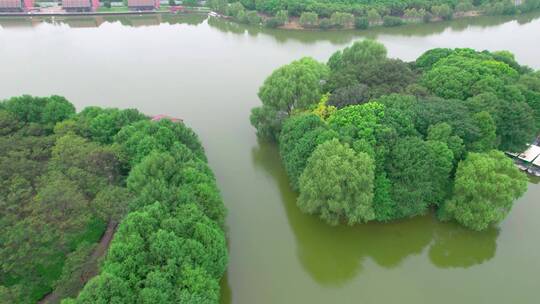 苏州虎丘湿地公园生态绿化