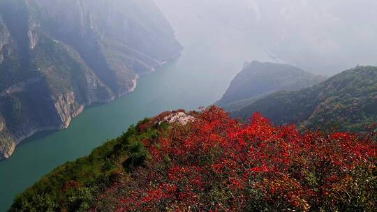 重庆巫山三峡红叶美景