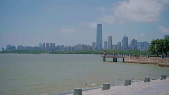 深圳湾栈道，红树林海洋生态，城市天际线