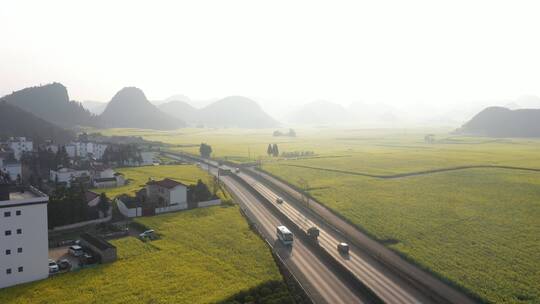 云南罗平油菜花花海航拍乡村农村牧场