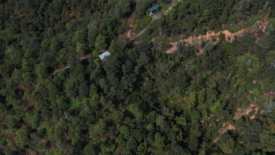 航拍深圳城市生态绿化