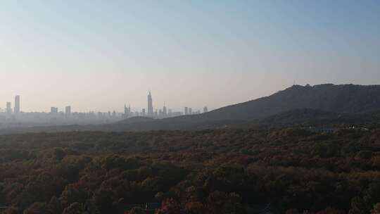 南京中山植物园视频素材模板下载