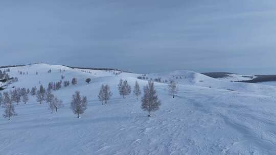 呼伦贝尔疏林雪原风光