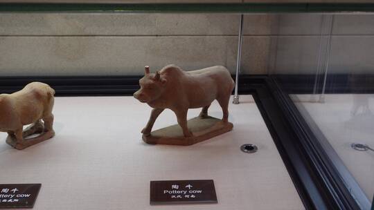 古代家畜猪狗牛石像雕刻 ~视频素材模板下载