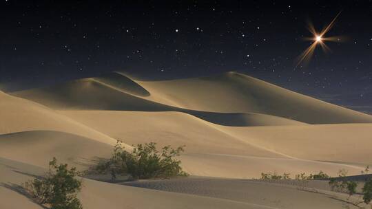 沙漠天空中的星星