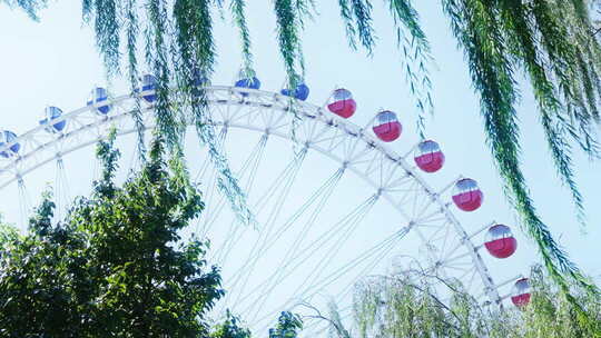 夏天清晨阳光树叶光影逆光小清新空镜