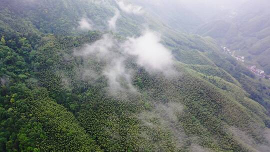 大山山涧飘散的云雾环绕