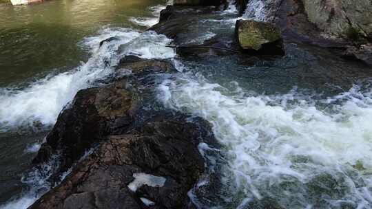 山间小溪水河流水树木枝叶视频