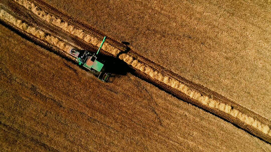 联合收割机在收小麦