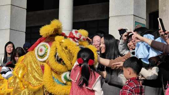 新年活动舞狮表演庆祝新年视频素材模板下载