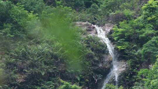 深圳梧桐山绿色生态