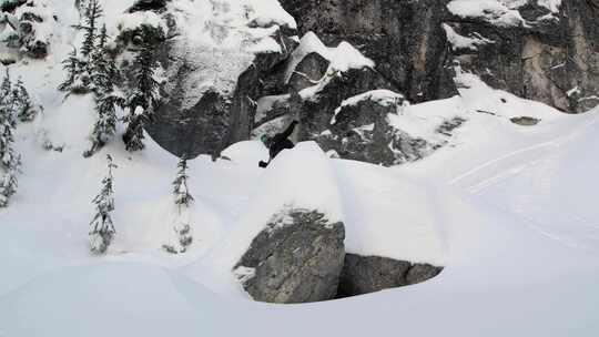 人，极限运动，树，雪