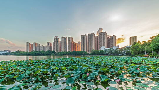 贵港东湖公园日转夜延时