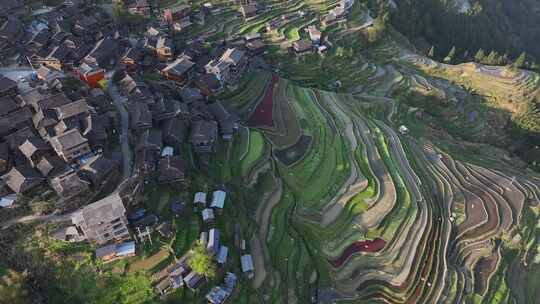 贵州黔东南从江县岜沙苗寨航拍乡村建筑风光