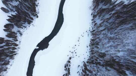 航拍新疆冬季喀纳斯湖雪景雪山森林冰河晨雾