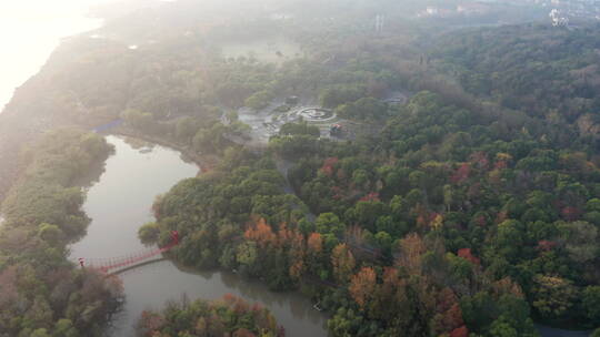 上海吴淞炮台湾国家湿地公园清晨唯美航拍