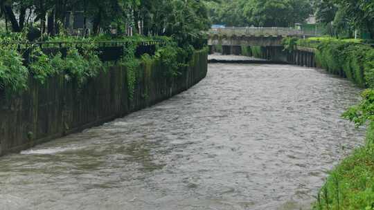 台风海葵登录深圳前