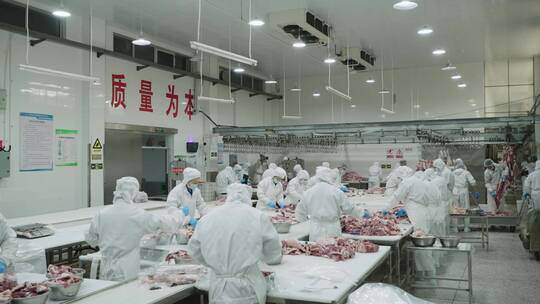 现代化牛肉羊肉加工厂4k