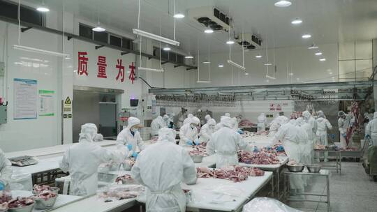 现代化牛肉羊肉加工厂4k视频素材模板下载