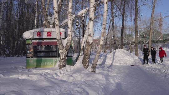新疆阿勒泰桦林公园冬景