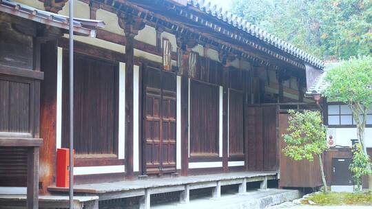 日本京都金福寺建筑视频合集视频素材模板下载