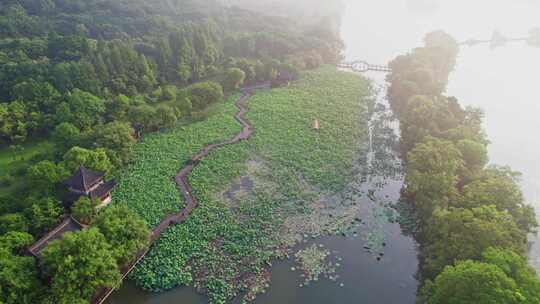 杭州湘湖荷花庄夏天荷塘风景航拍