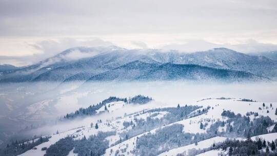 雪山森林的远景