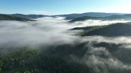 大兴安岭自然风光森林云雾林海晨景视频素材模板下载