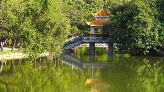 深圳洪湖公园里的湖水桥上的亭子视频素材模板下载