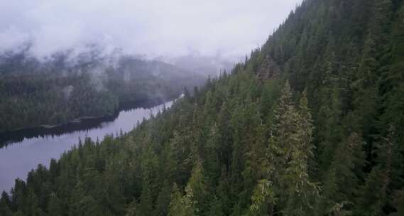 绿色森林河流青山绿水云雾气航拍自然美景