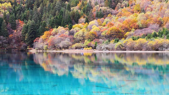 四川九寨沟风景区